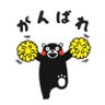 y まっすん's profile picture