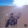 Pedro Pedro Fernández's profile picture