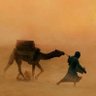 المنجور 的头像