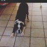 Aura profil fotoğrafı