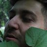 Milanesa De Lavios's profile picture