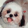 Profilbild von ゆっこ