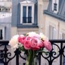 نقطه • profil fotoğrafı