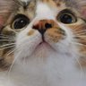 Profilbild von ๐ณ๐๐ฉ๐ข๐ซ๐ฑ๐ฆ๐ซ๐