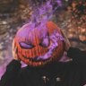 DrogonInfernal's profile picture