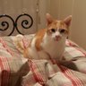 PaolaLittlebox's profile picture