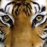 Axel's profile picture