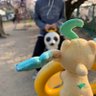 ちどりーふぃあ! profil fotoğrafı