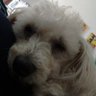 Mark Gonza's profile picture