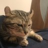 ぽんた's profile picture