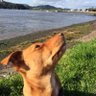 Joan's profile picture