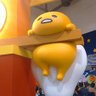 TerryCheng's profile picture