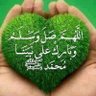  بتال الروقي 的头像