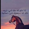 طلال 的头像