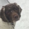 Steve's profile picture