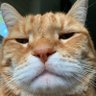 djalilio profil fotoğrafı