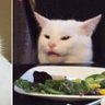 i love cats 的头像