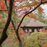 Фото профиля 日本を憂う母です🌸