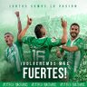 ANDRÉS VERA N.'s profile picture