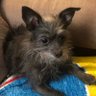 TallyLassie47@ 的头像