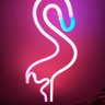 ThePinkNeonFlamingo's profile picture