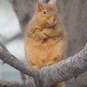 Фото профиля | Ш4ӘИҾЯ |