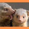 PW Tam profil fotoğrafı