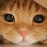 Prasite's profile picture