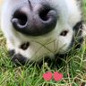Vale M profil fotoğrafı