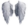 Фото профиля Angel Eyes