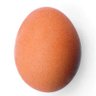 Profilbild von JustToMakeAComment