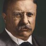 Theodore Roosevelt's profile picture