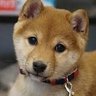 Profilbild von みなちゃん