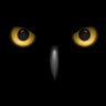 AlertCityZen's profile picture