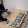 Profilbild von あくび