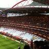 Profilbild von 🇺🇦 Benfica First