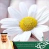 حليمة محمد العلكمي profil fotoğrafı
