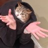 SpaceCider's profile picture