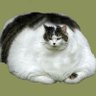 Jack's profile picture