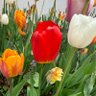 Фото профиля زيزفون