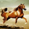 Profilbild von powerksa