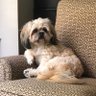Paul T's profile picture