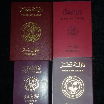 All_Qatar_2022's profile picture