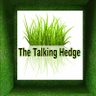 theTalkingHedge 的头像