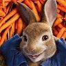 Coelho Sincero's profile picture