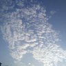 qiqiqi 的头像