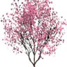 nicben's profile picture