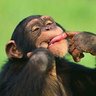 Mono 🐵Campeón del mundo 78 86 22 🇦🇷⭐⭐⭐'s profile picture