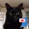 JPN🇯🇵 profil fotoğrafı