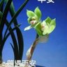 Free 的头像